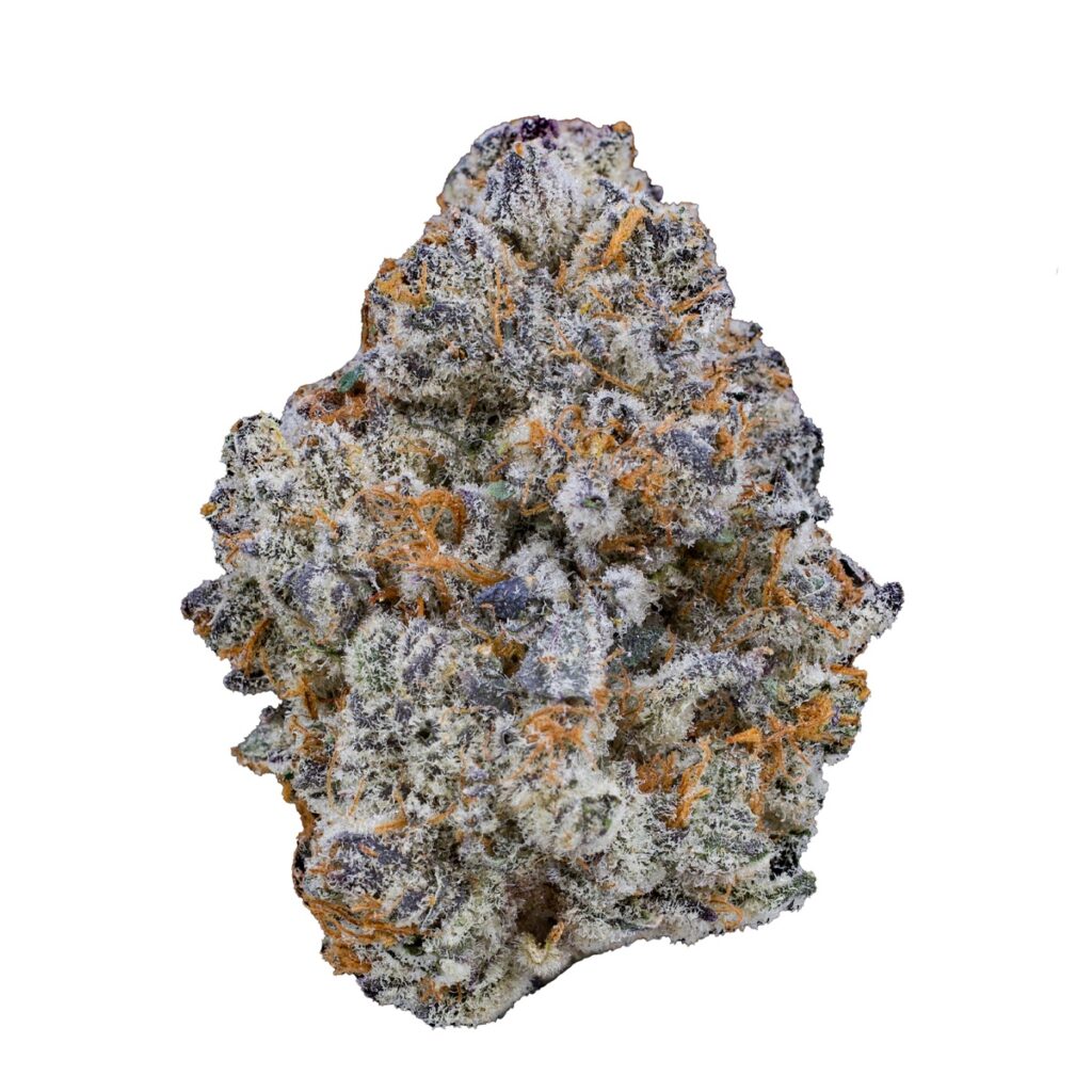 Bahama Mama Strain