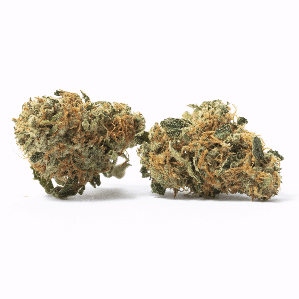 Blue Jay Way Strain