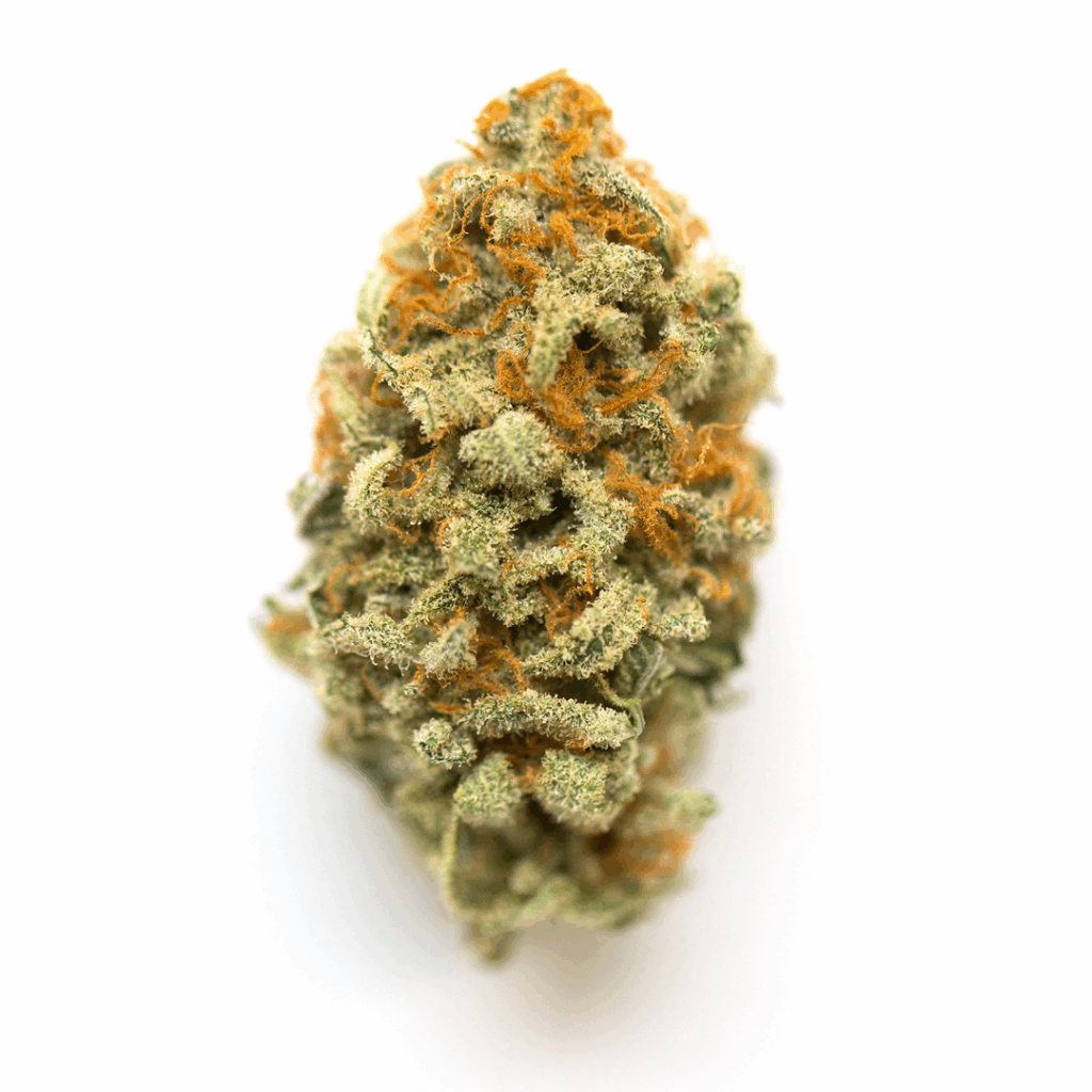 Blue Kross Strain