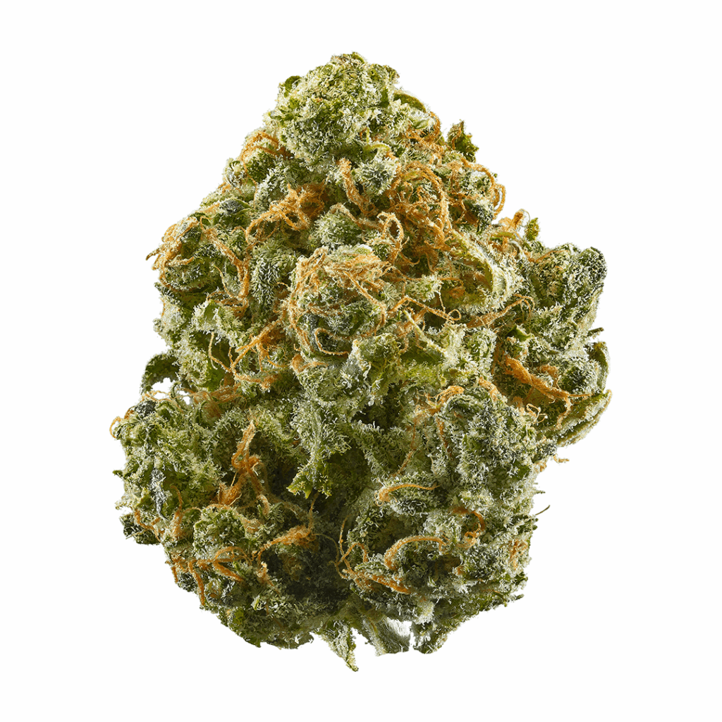 Blue Lights Strain