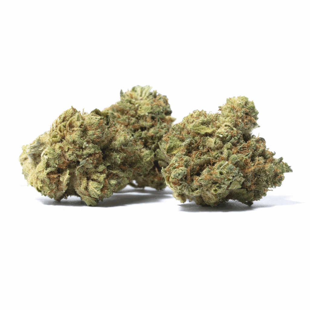 Blue Lobster Strain