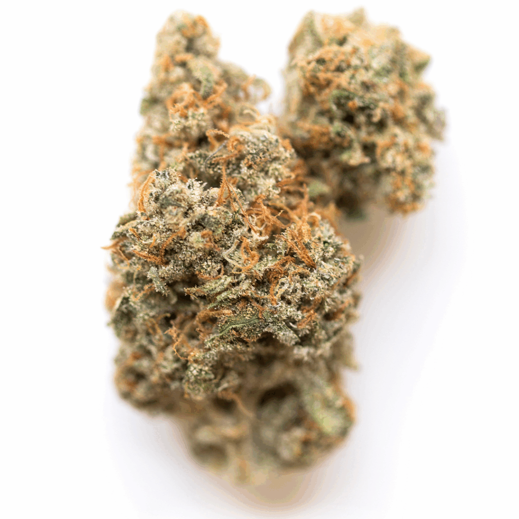 Blue Magoo Strain