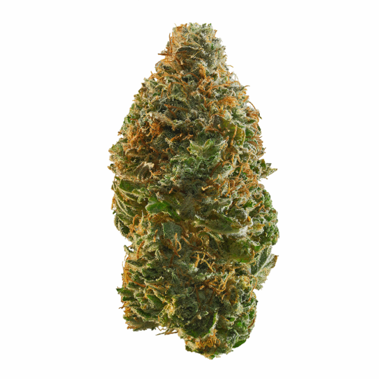 Blue Mountain Fire Strain