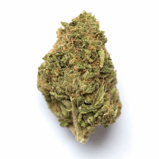 Blue OG Sherbert Strain