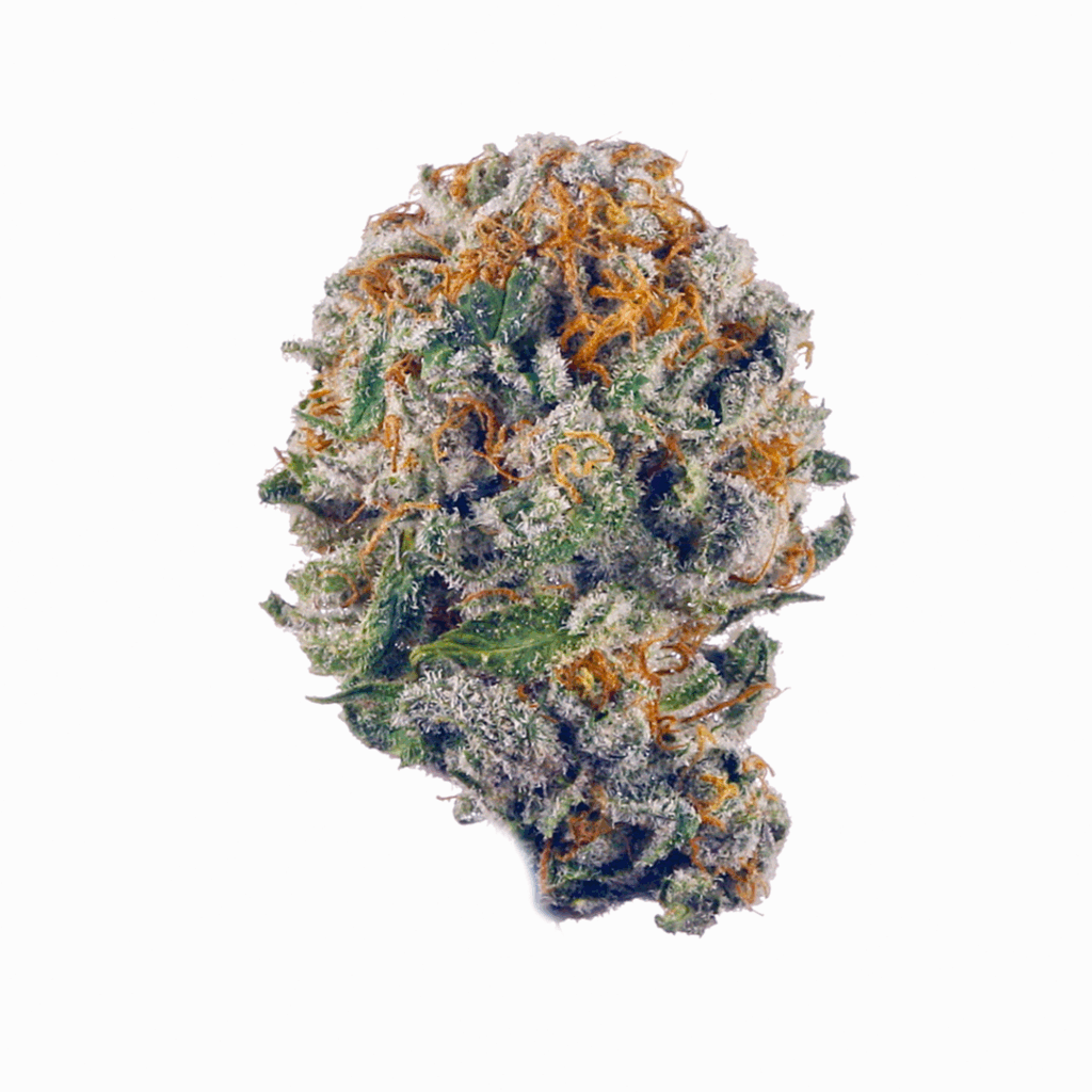 Blue Ox Strain