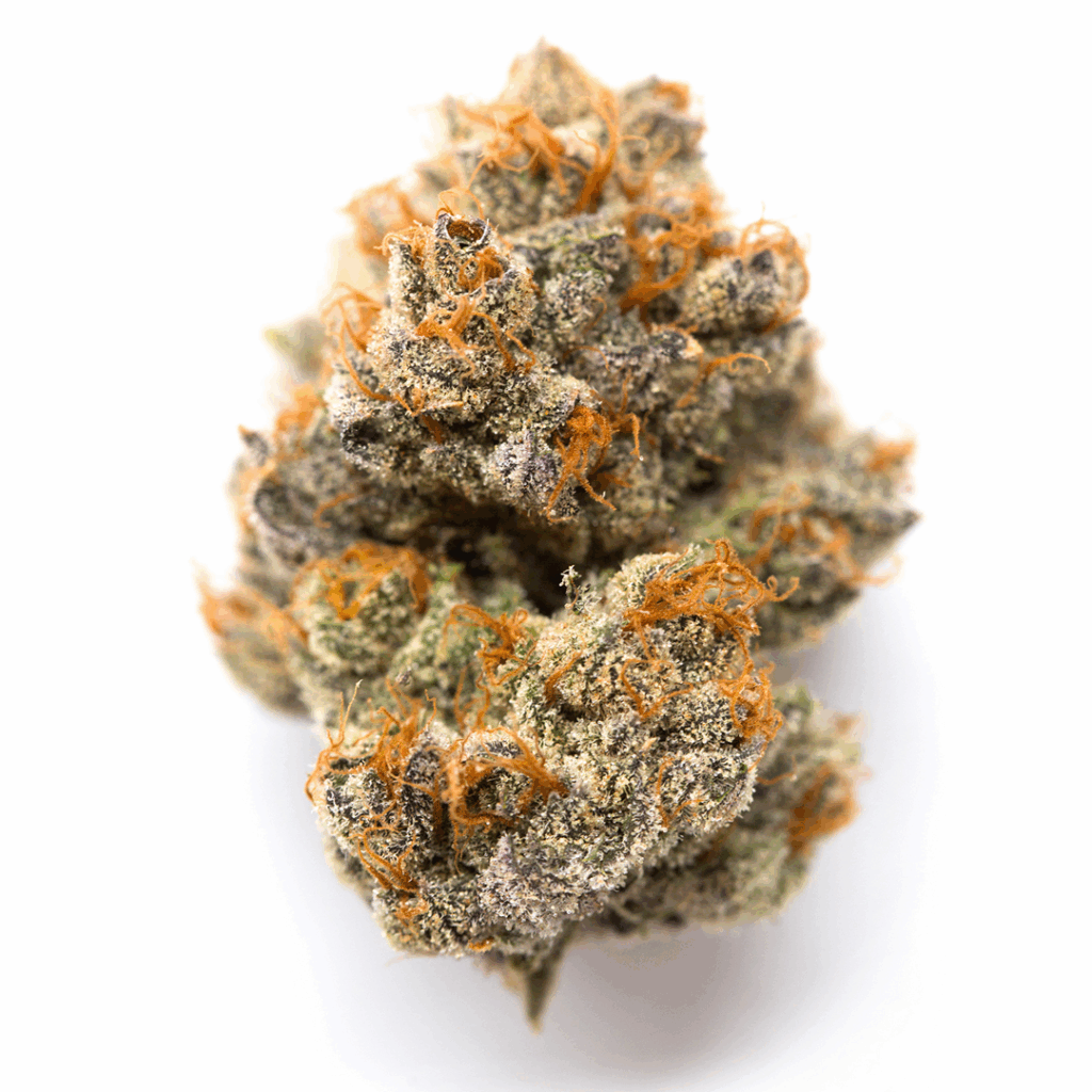 Blue Raspberry Snow Cone Strain