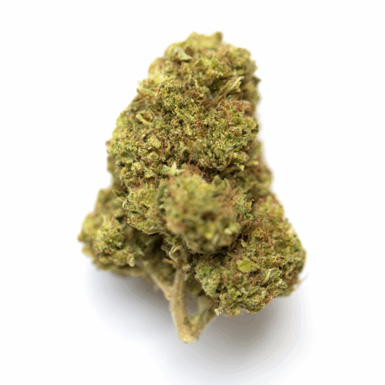 Blue Satellite Strain