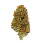 Afghan Hawaiian Strain