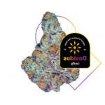 Animal Candy Strain