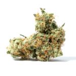 Alien Dutchess Strain