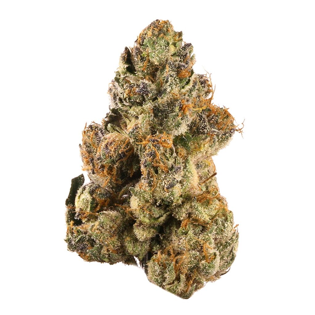 Bahama Blizzard Strain
