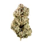 Alien Glue Strain