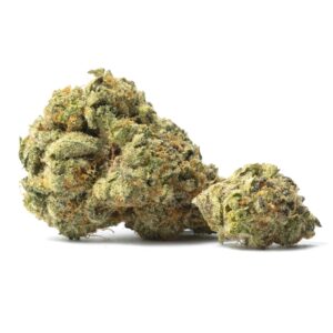 orange cookies Strain