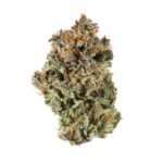 Animal Sherbert Strain